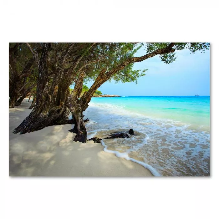 Idyllischer Strand mit weißem Sand, türkisblauem Wasser und schattenspendenden Bäumen am Ufer.